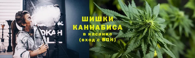 Канабис SATIVA & INDICA  Полярные Зори 